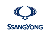 Catalizador SSANG YONG